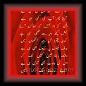 Gulzar 03 * 19.04.2007 * 499 x 808 * (38KB)